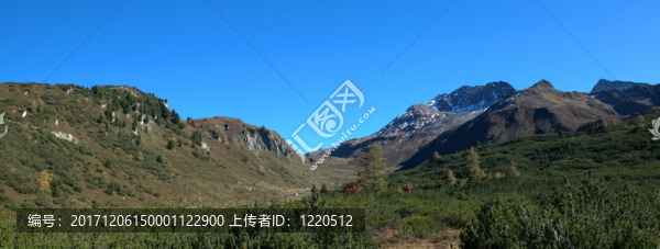 山