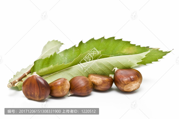 食物