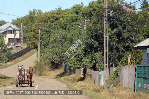 馬