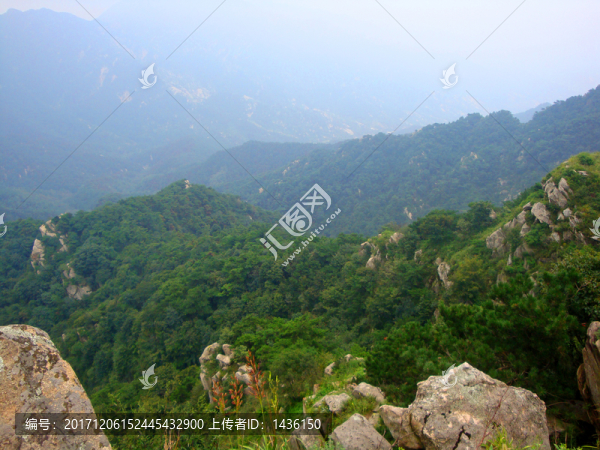 青山,大山