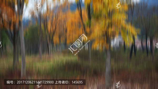 秋天樹葉