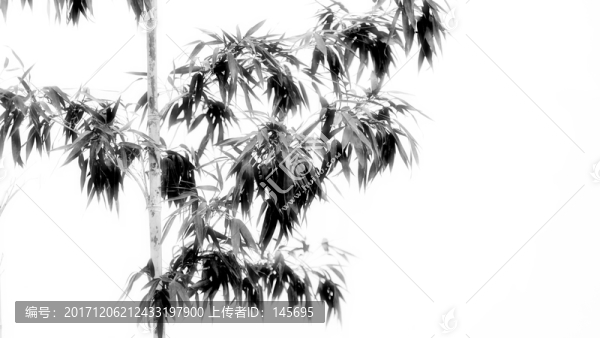 竹葉