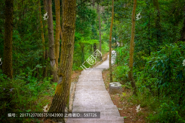 山林小路