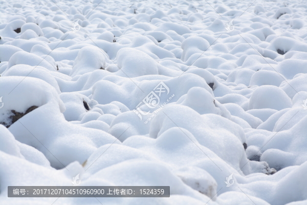 雪