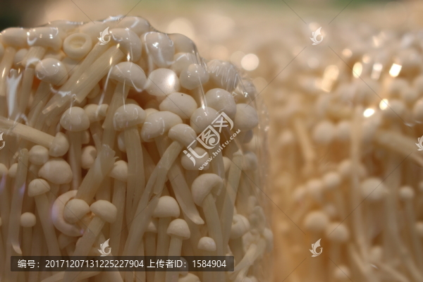 金針菇