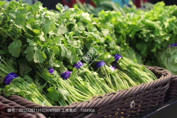 芹菜