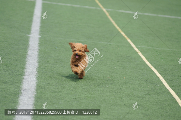 運動