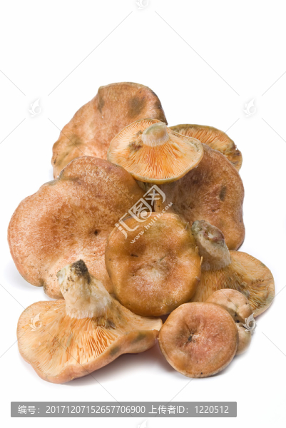 食物
