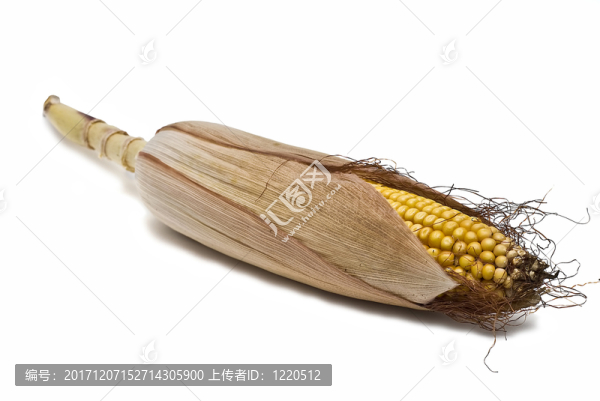 靜物