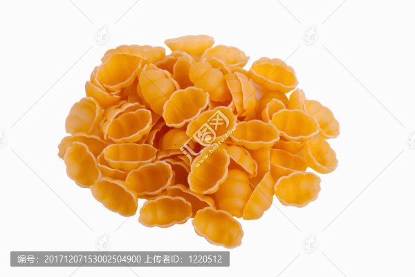 蛋面食,-,貝殼