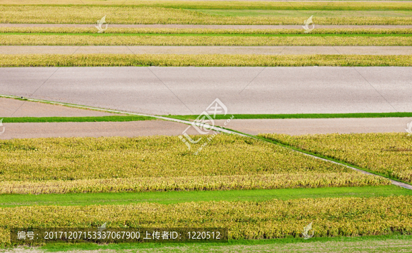 農(nóng)業(yè)
