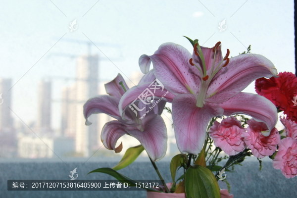 窗戶上的花