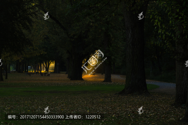早晨覺醒（法蘭克福）