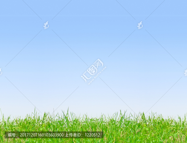 夏