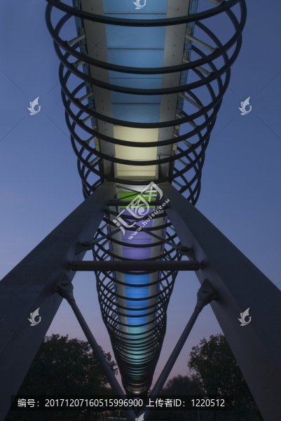 橋
