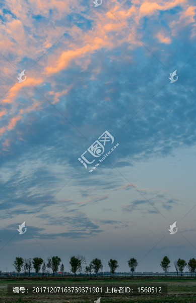 朝霞遠樹