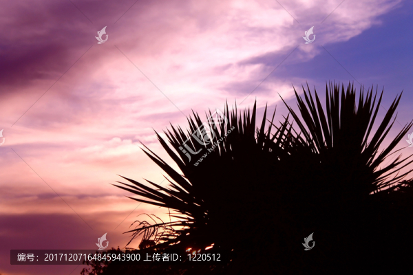 夜