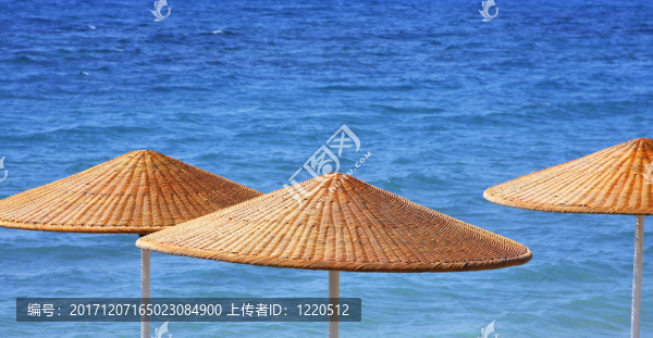 假日