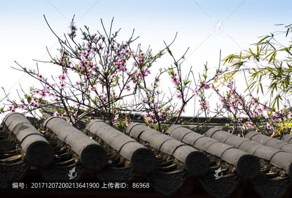水鄉(xiāng)同里