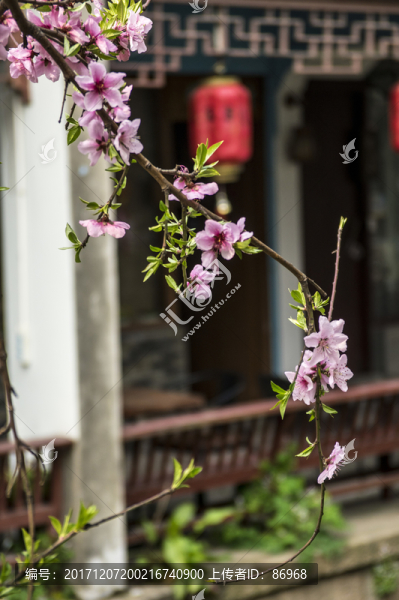 同里古鎮(zhèn)