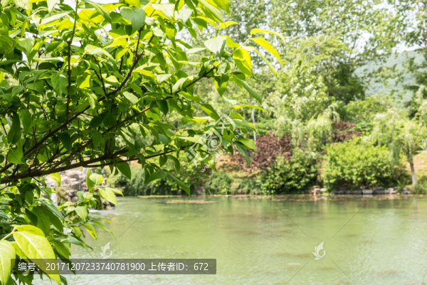 珍珠泉風(fēng)景區(qū)水景