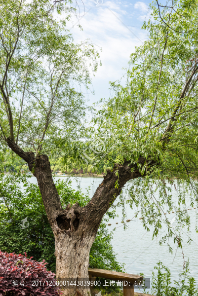 珍珠泉風景區(qū)景觀