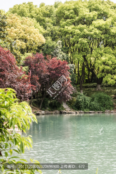 景區(qū)水景