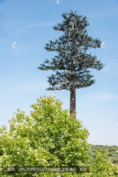景區(qū)山景