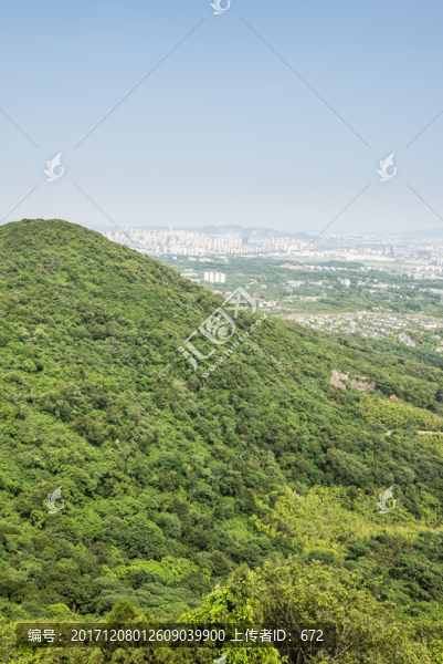 山林