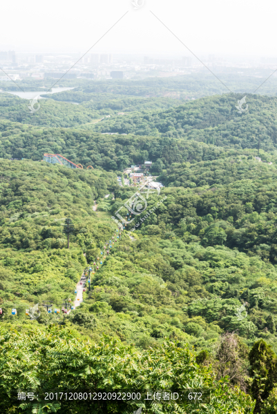 景區(qū)山林