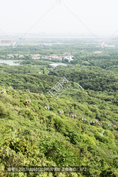 景區(qū)山林