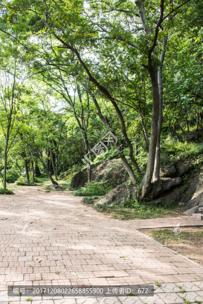珍珠泉風(fēng)景區(qū)道路