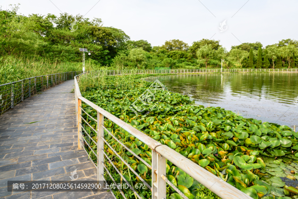 珍珠泉風(fēng)景區(qū)水景