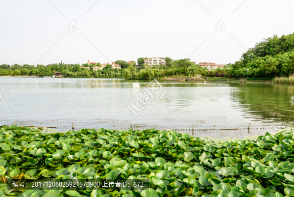 珍珠泉風景區(qū)水景
