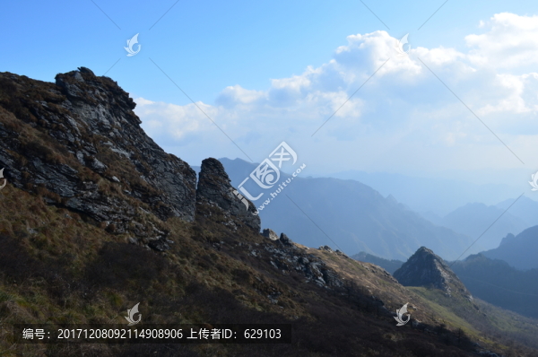 高山白云