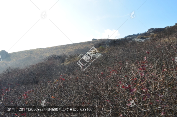 秦嶺風(fēng)光