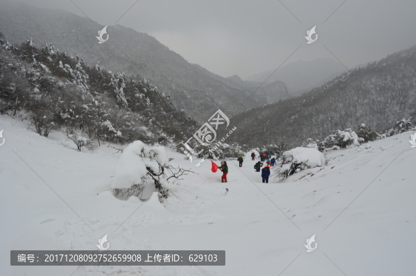 雪中戶外