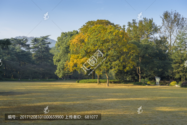 杭州西湖花港觀漁