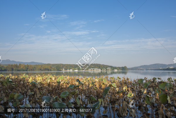 杭州西湖花港觀漁