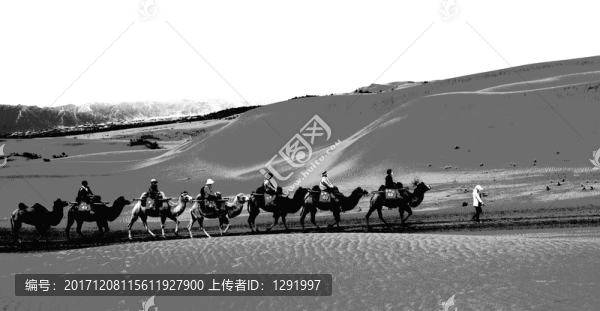 駝隊