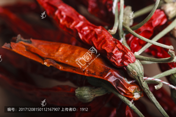 紅辣椒
