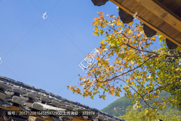 浙江麗水坐忘閣