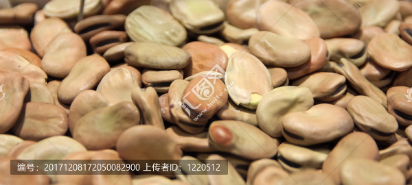 食物