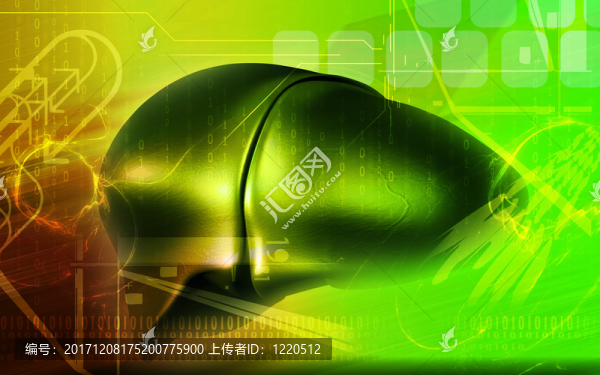 里面的