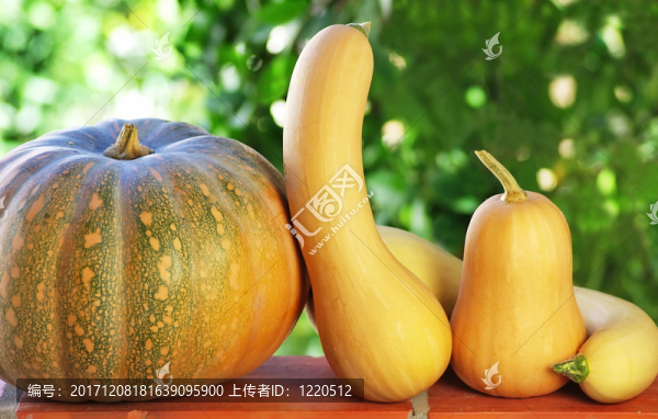 隔離的