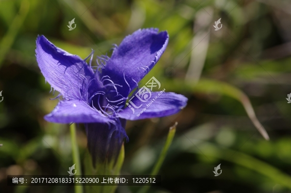 保護(hù)