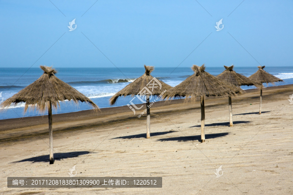 在空的海灘上的遮陽傘