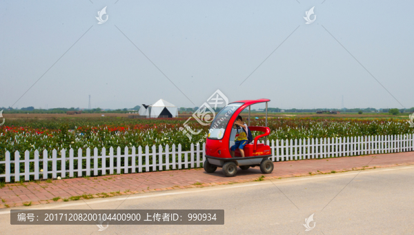 旅游觀光車,景區(qū)觀光車