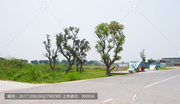 寶包農(nóng)場,路邊設(shè)計物