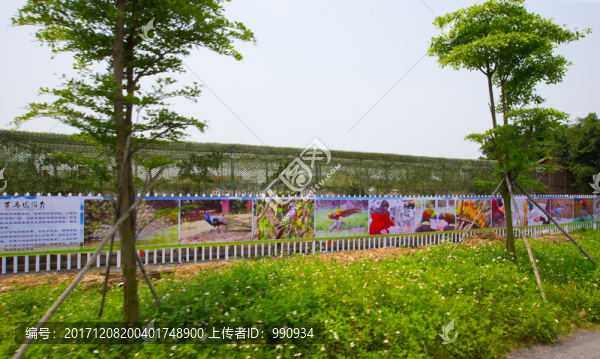 寶包農(nóng)場